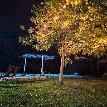 Hotel Quiloma Ranch パレンケ エクステリア 写真