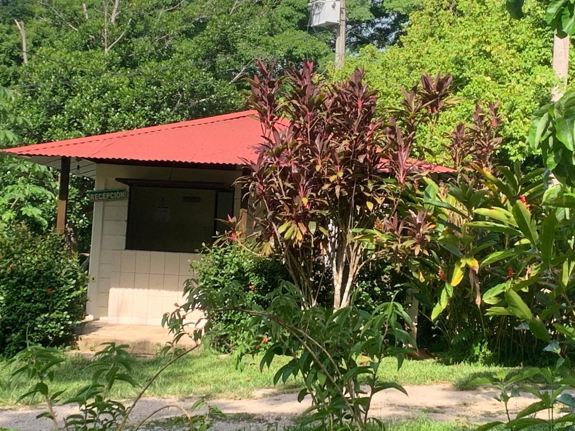 Hotel Quiloma Ranch パレンケ エクステリア 写真