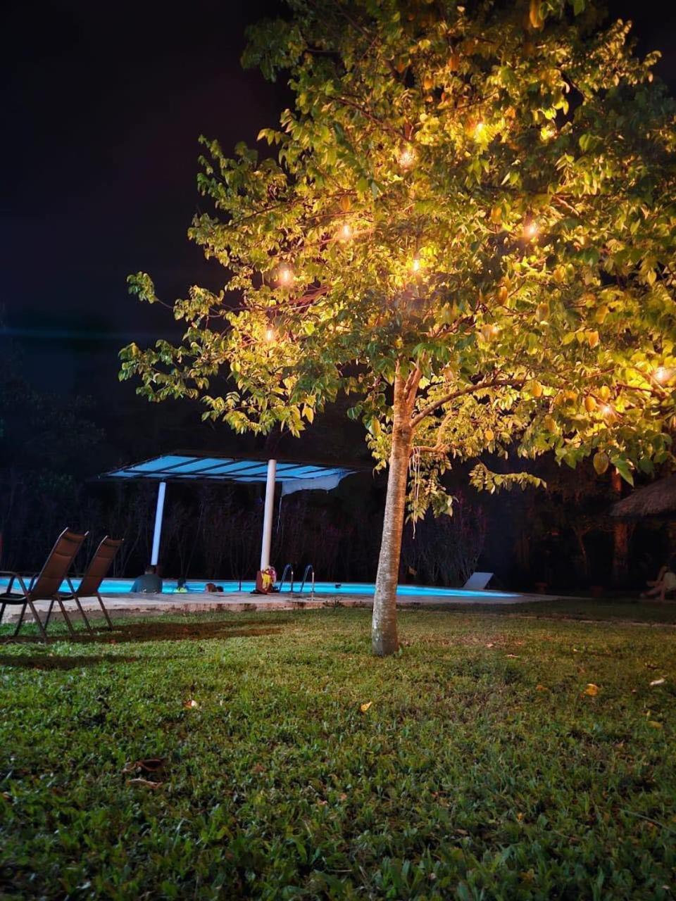 Hotel Quiloma Ranch パレンケ エクステリア 写真